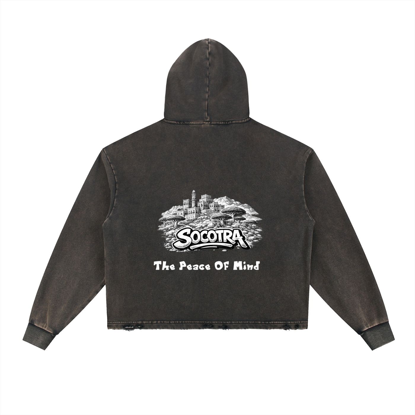 Vintage Washed Frayed-Hem Hoodie