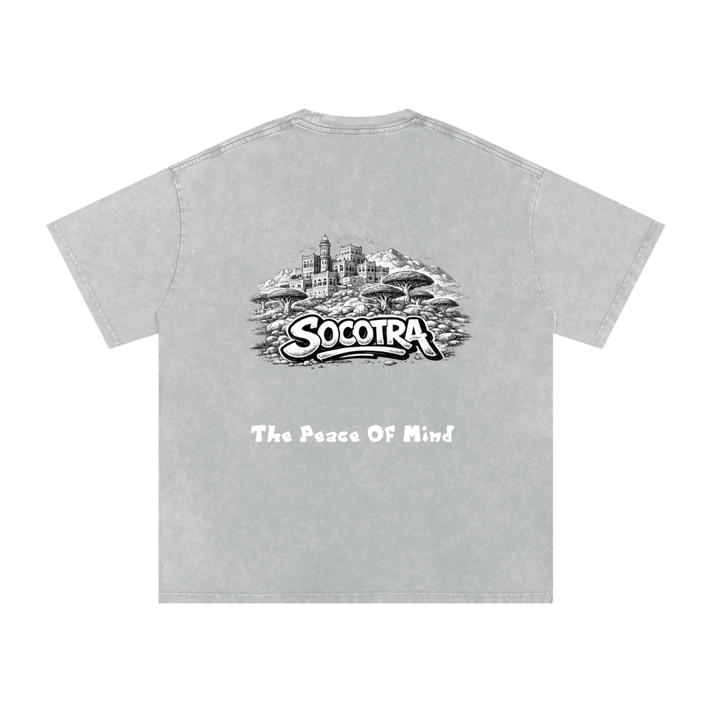 Snow Washed Oversized Cotton T-Shirt