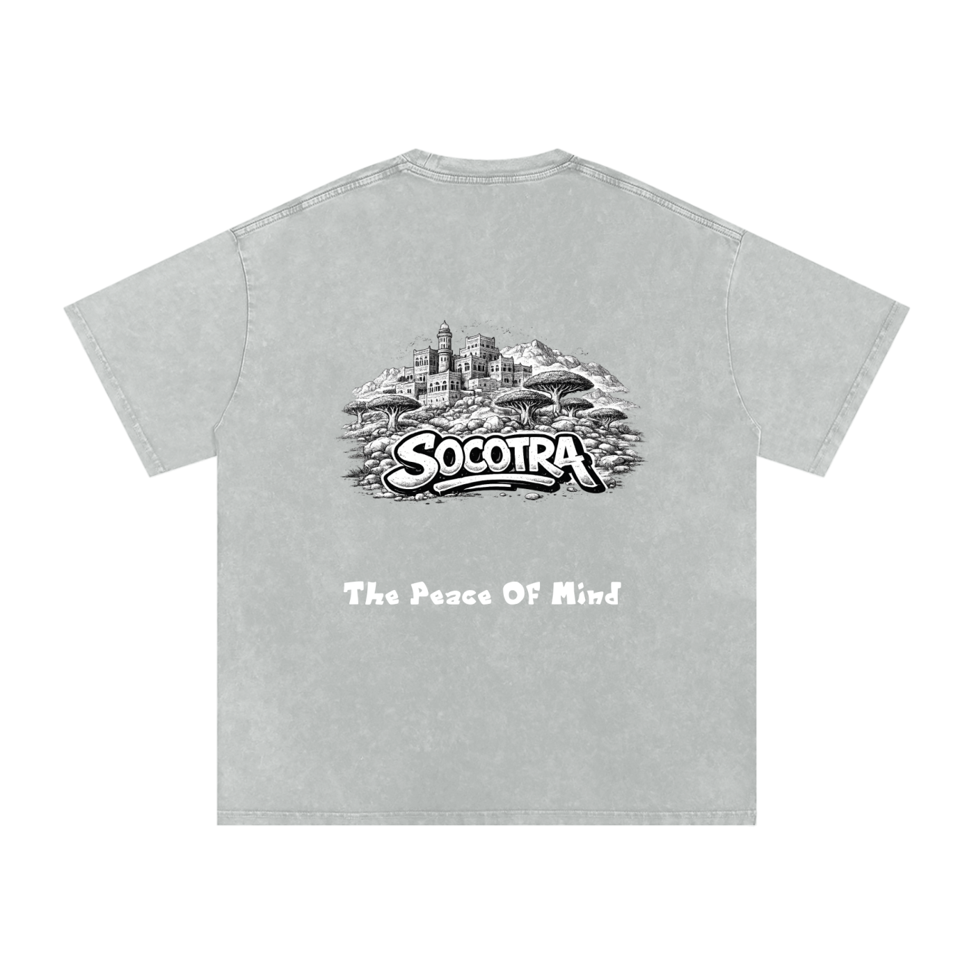 Snow Washed Oversized Cotton T-Shirt